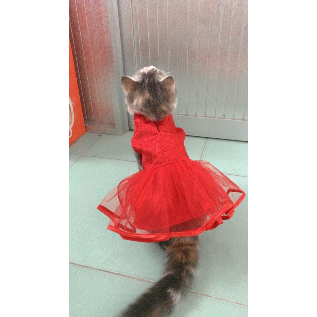 Đầm ren đỏ yudog cho thú cưng chó mèo