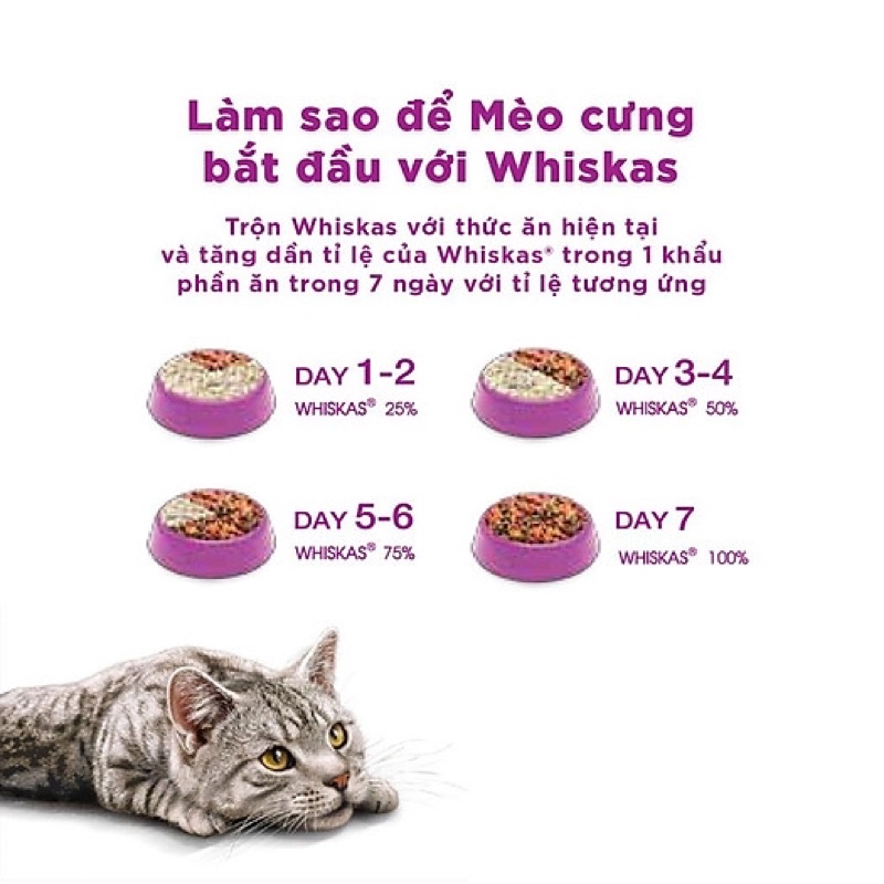 Thức Ăn Hạt Cho Mèo Con Whiskas - Xiuxiu Giang
