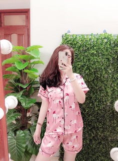[Xả hàng] Bộ lụa hoạ tiết áo cộc - quần cộc