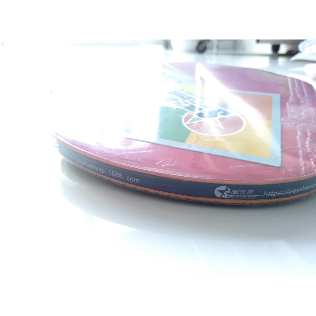 VỢT BÓNG BÀN ĐƠN CAO CẤP 0668