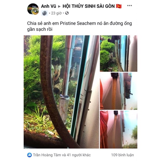 [500ML] SEACHEM PRISTINE | Vi Sinh Phân Huỷ Tự Nhiên Giúp Xử Lý Chất Cặn Hữu Cơ Hồ Cá Tép, Thuỷ Sinh