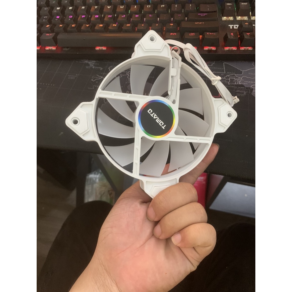 Fan led hub tomato