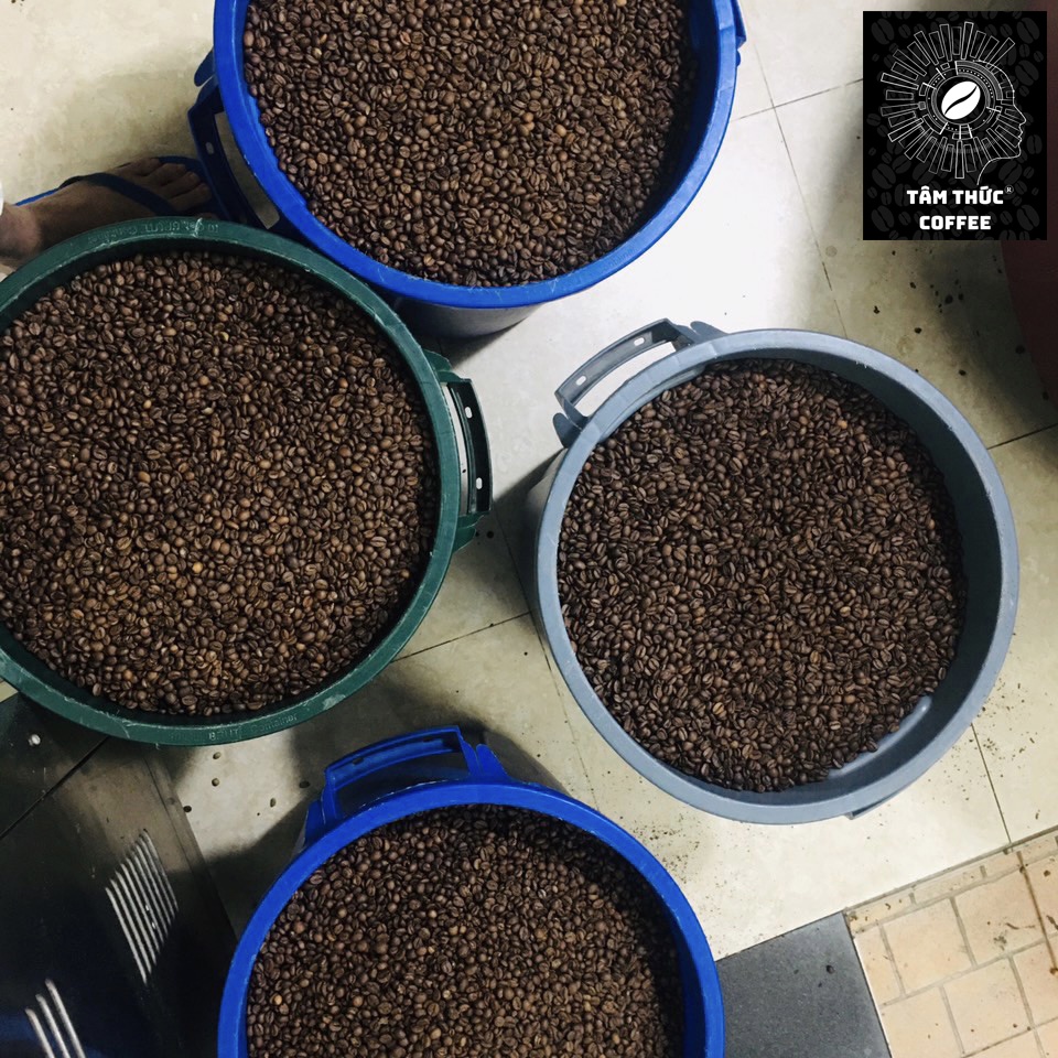 Cà phê nguyên chất Blend Robusta - Arabica rang mộc đậm đà thơm nồng dùng pha phin từ Tâm Thức Coffee - trà Thiên Thảo