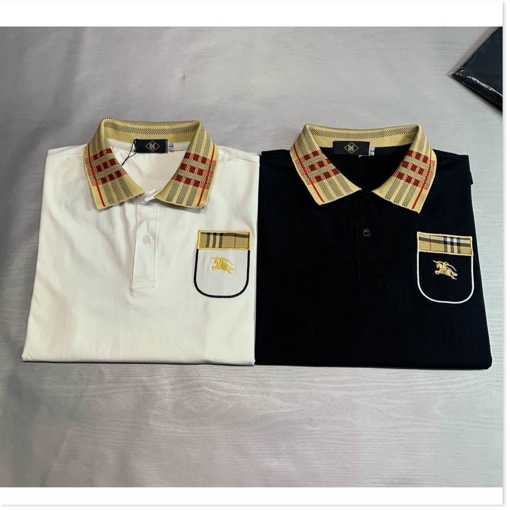 Áo Thun Nam Ngắn Tay Có Cổ Vải Cotton Chất Lượng Cao, Uy Tín HP