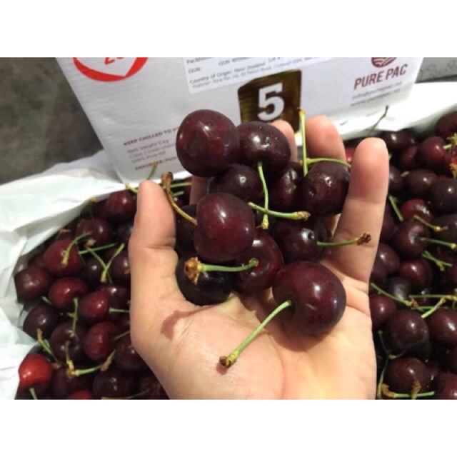 Cherry Mỹ ngọt