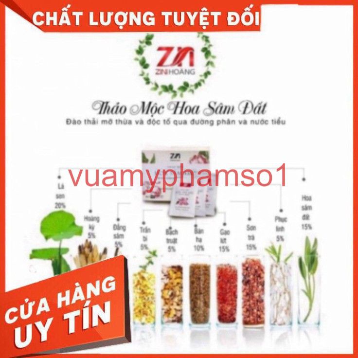 TRÀ THẢO MỘC HOA SÂM ĐẤT