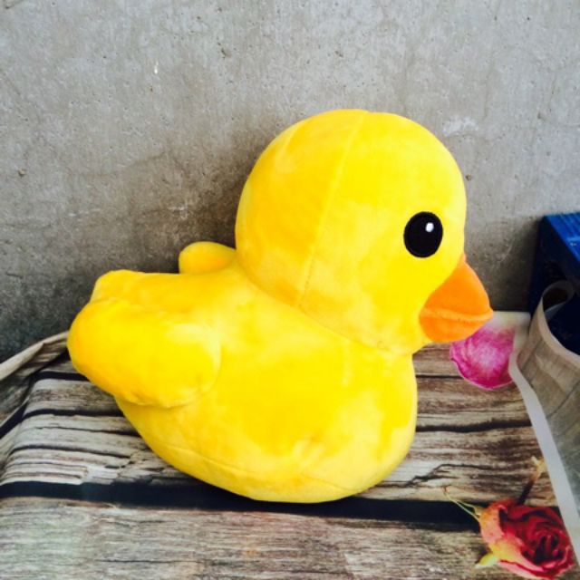 HC)Gấu bông 25, 30cm