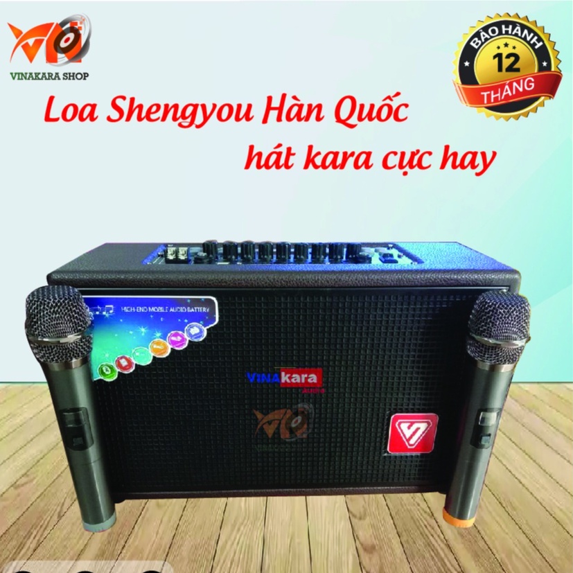 Loa mini karaoke hay, Loa Shengyou Hàn Quốc hát kara cực hay, 2 micro cao cấp hát nhẹ