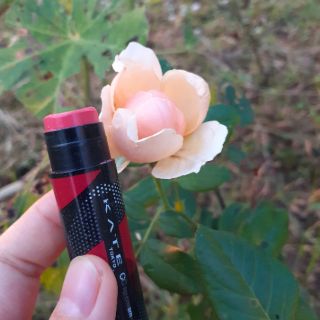Son dưỡng môi Kanebo Kate