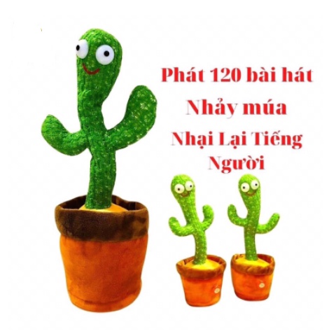 Cây sương rồng nhảy múa, ghi âm