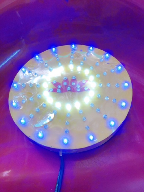 Đèn hào quang 1T8 MICA , đèn trang trí - ảnh và video do shop tự chụp