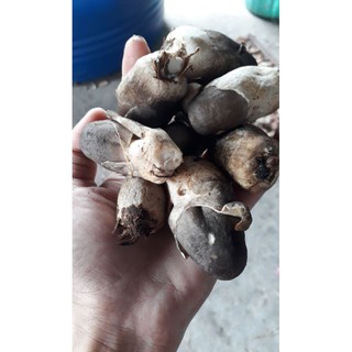 Nấm rơm sấy khô 400g