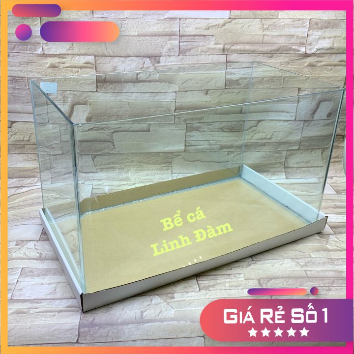 Bể Cá Chữ Nhật 50cm Kính Đúc Bo Góc Đẹp - Bể Cá Mini Dài 50cm