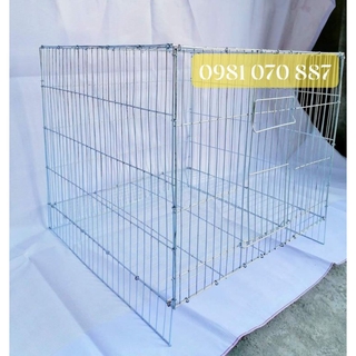 Lồng mèo, chim, thú cưng