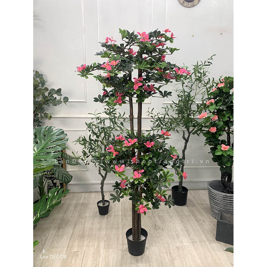 💥 Cây giả - Cây Hoa đỗ quyên trang trí nhà, ban công đẹp Lan Decor 170cm - LC2450