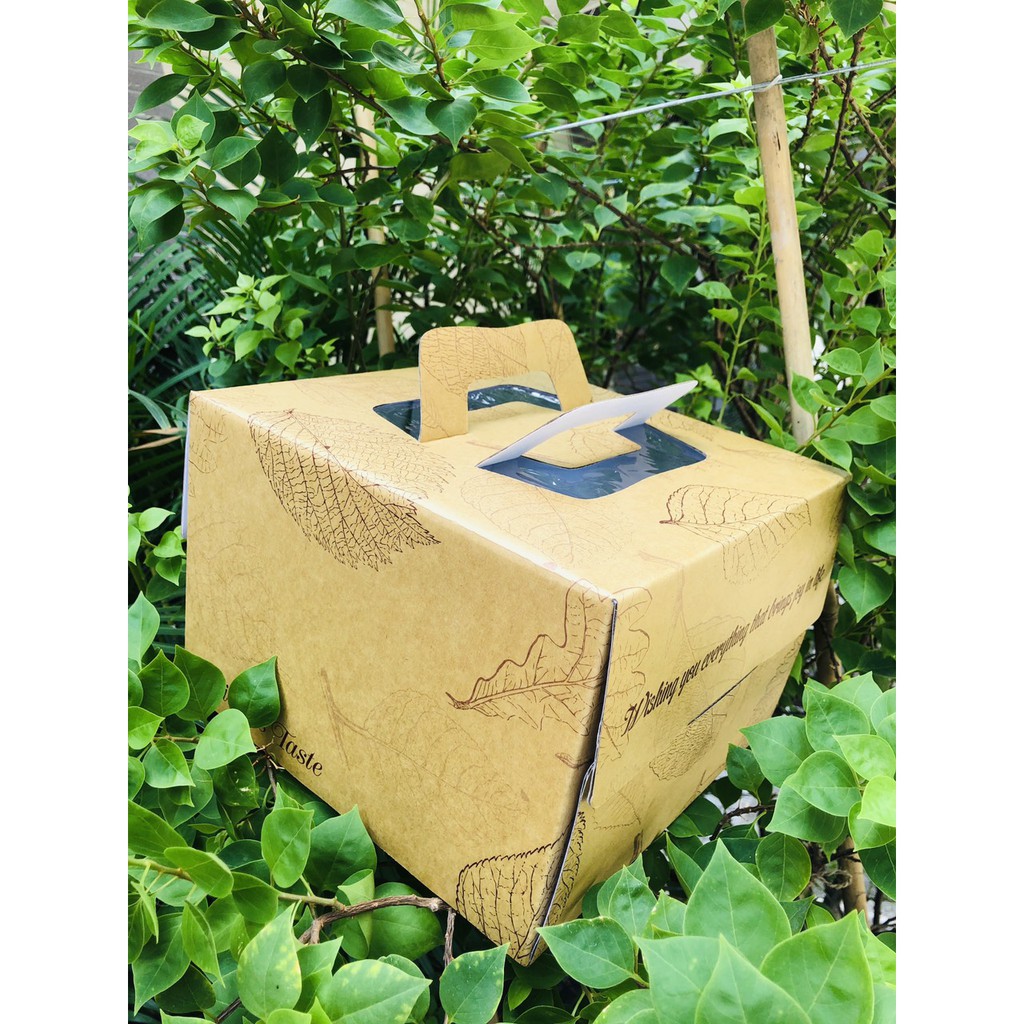 Hộp bánh kem giấy size 23*23*17cm - hộp kèm đế trắng - họa tiết ngẫu nhiên-