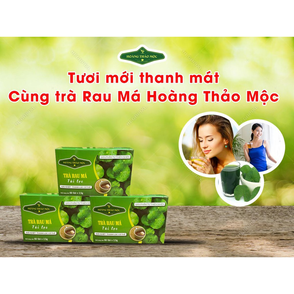 Trà Rau Má - 60 Túi Lọc - Giải nhiệt thanh lọc cơ thể