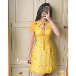 Đầm hoa cột nơ cổ
