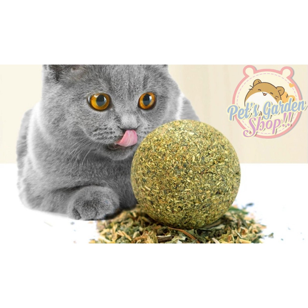 Đồ chơi Catnip cho mèo