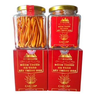 [COMBO 3 HỘP] Đông Trùng Hạ Thảo Sấy Thăng Hoa Huỳnh Nguyên Cao Cấp hộp 10gam