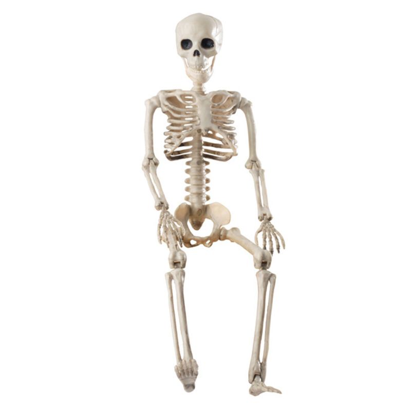 Chua Mô Hình Bộ Xương Người 36cm Sống Động Như Thật Trang Trí halloween