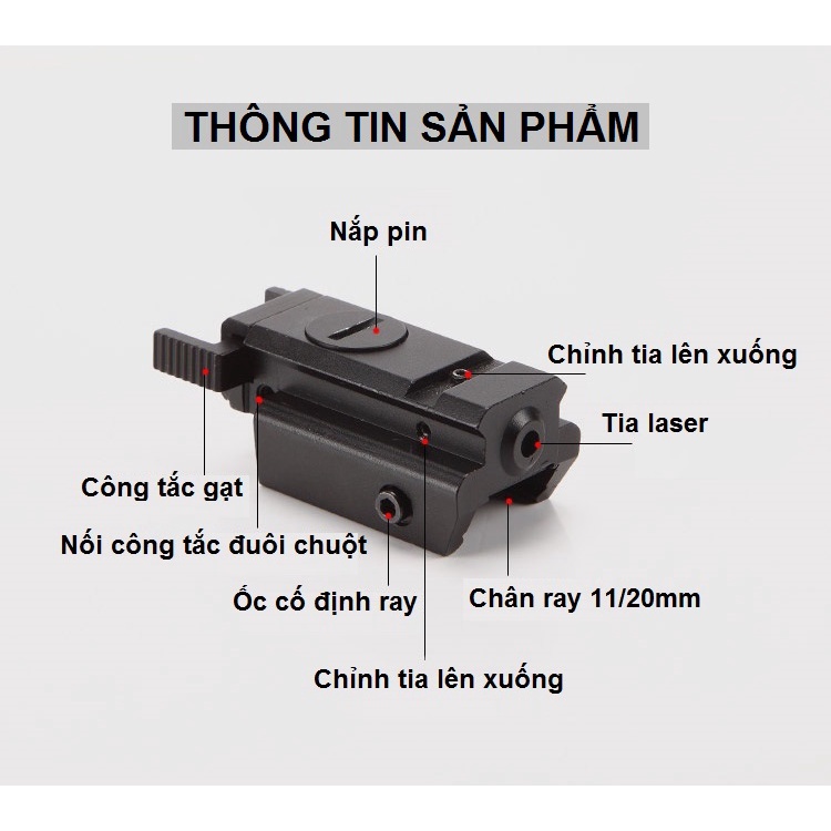 Đèn laze laser con gián tia đỏ định vị ổ mồi