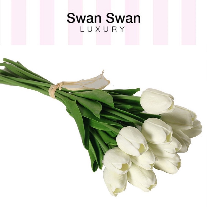 Cành Hoa Tulip Vải