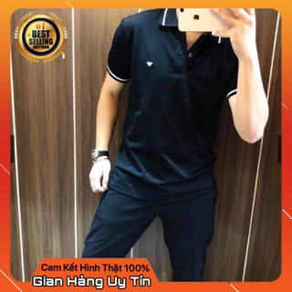 Áo thun polo nam thêu ong cao cấp pl2
