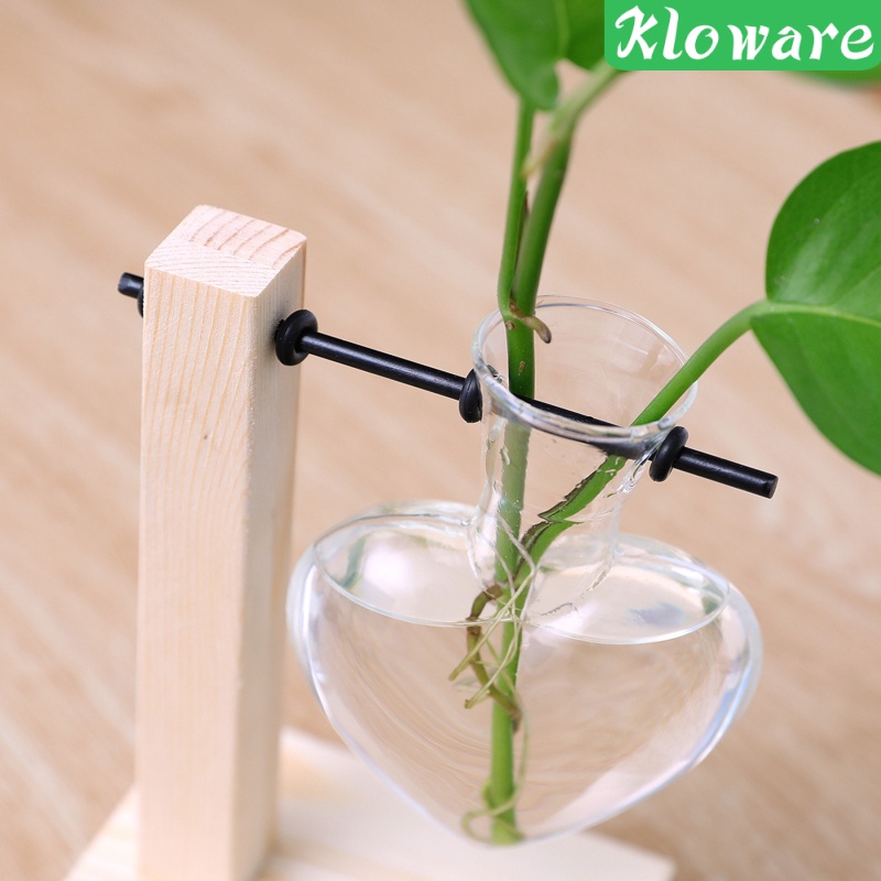 Bình trồng cây để bàn trang trí nội thất độc đáo