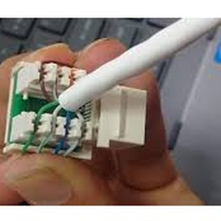Ổ cắm mạng SINO VANLOCK-Hạt mạng Internet