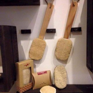 Cây chà lưng xơ mướp