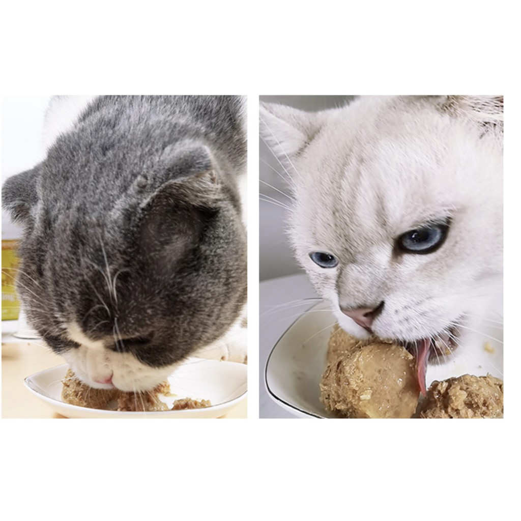 THỨC ĂN CHO MÈO,PATE CHO MÈO PUDDING HEMOSA nhân sâm bổ sung DHA chính hãng