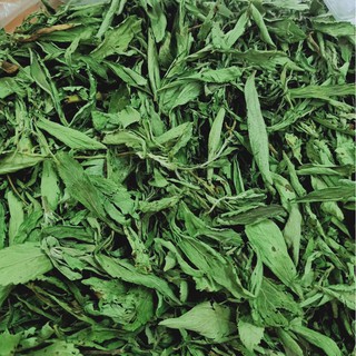 💥 cỏ ngọt nguyên lá không gây béo