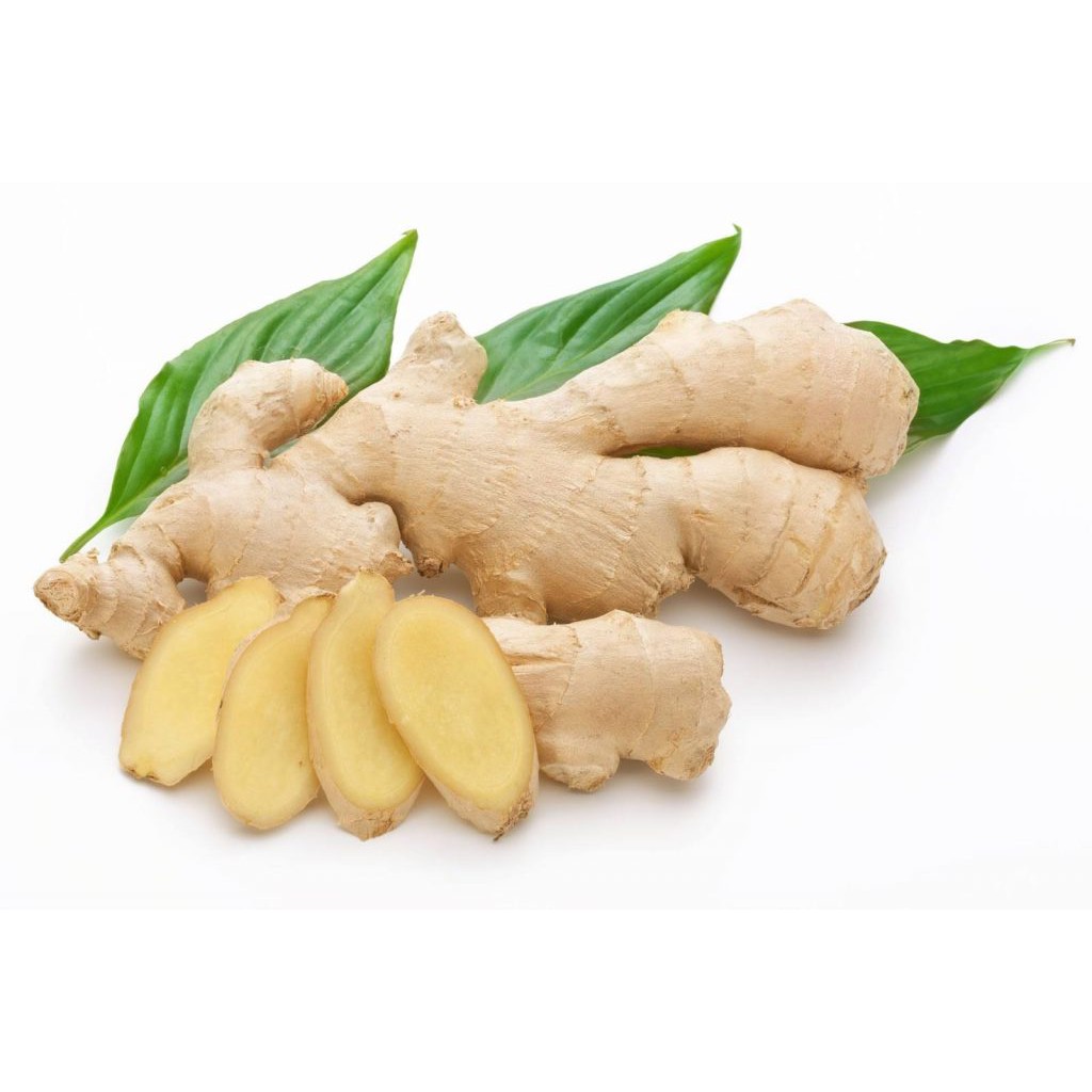 Tinh dầu Củ Gừng ,GINGER OIL ,Tinh Dầu La champa  - MSN181290