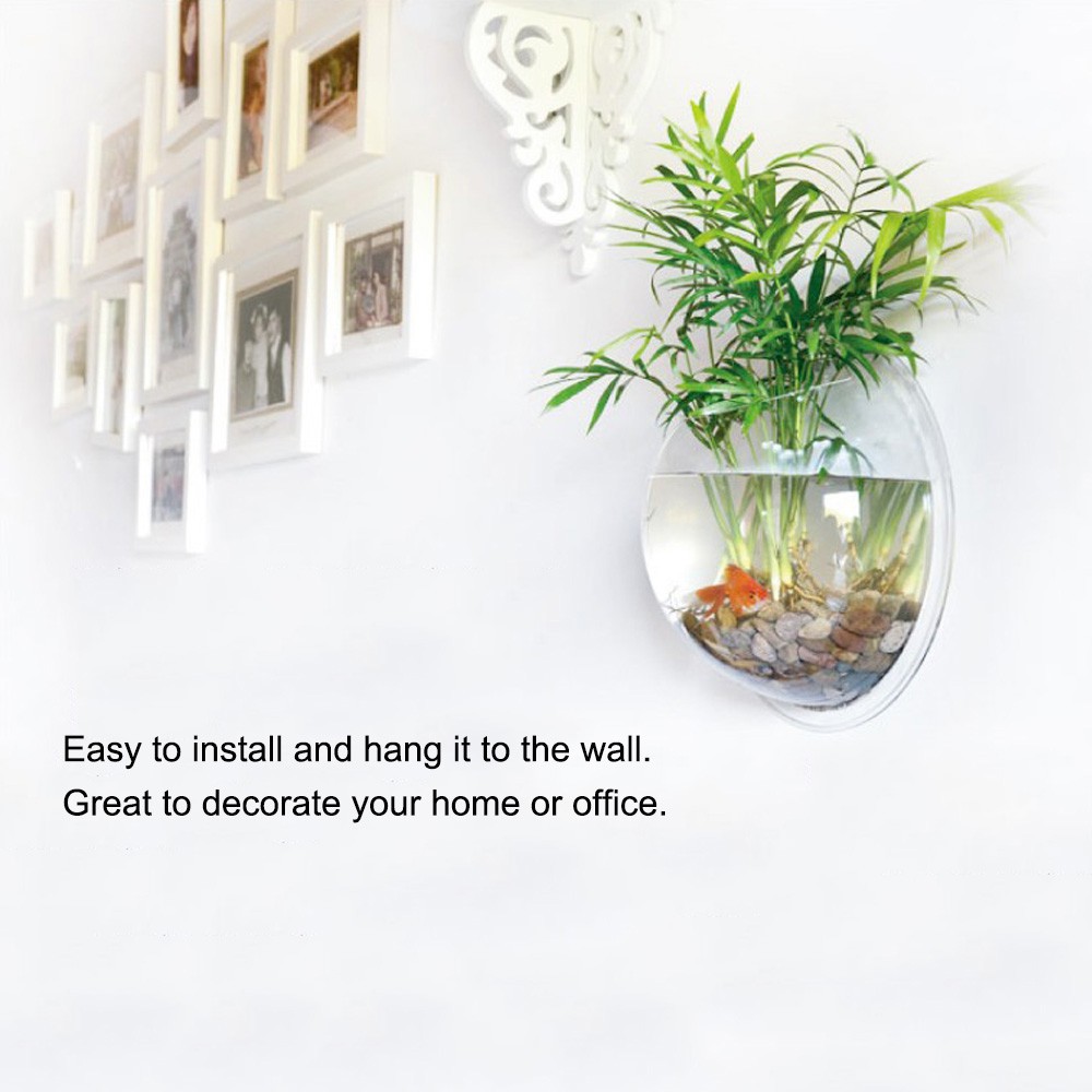 Bể cá thủy tinh gắn tường dùng để trang trí nhà cửa