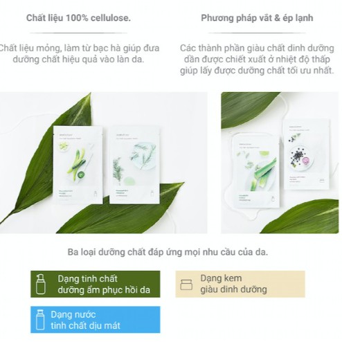 Mặt nạ giấy nuôi dưỡng & phục hồi da từ nhân sâm Hàn Quốc innisfree dưỡng trắng, cấp ẩm, thải độc