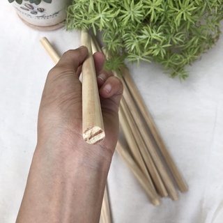 Que gỗ thông dài phi 12mm, 20mm
