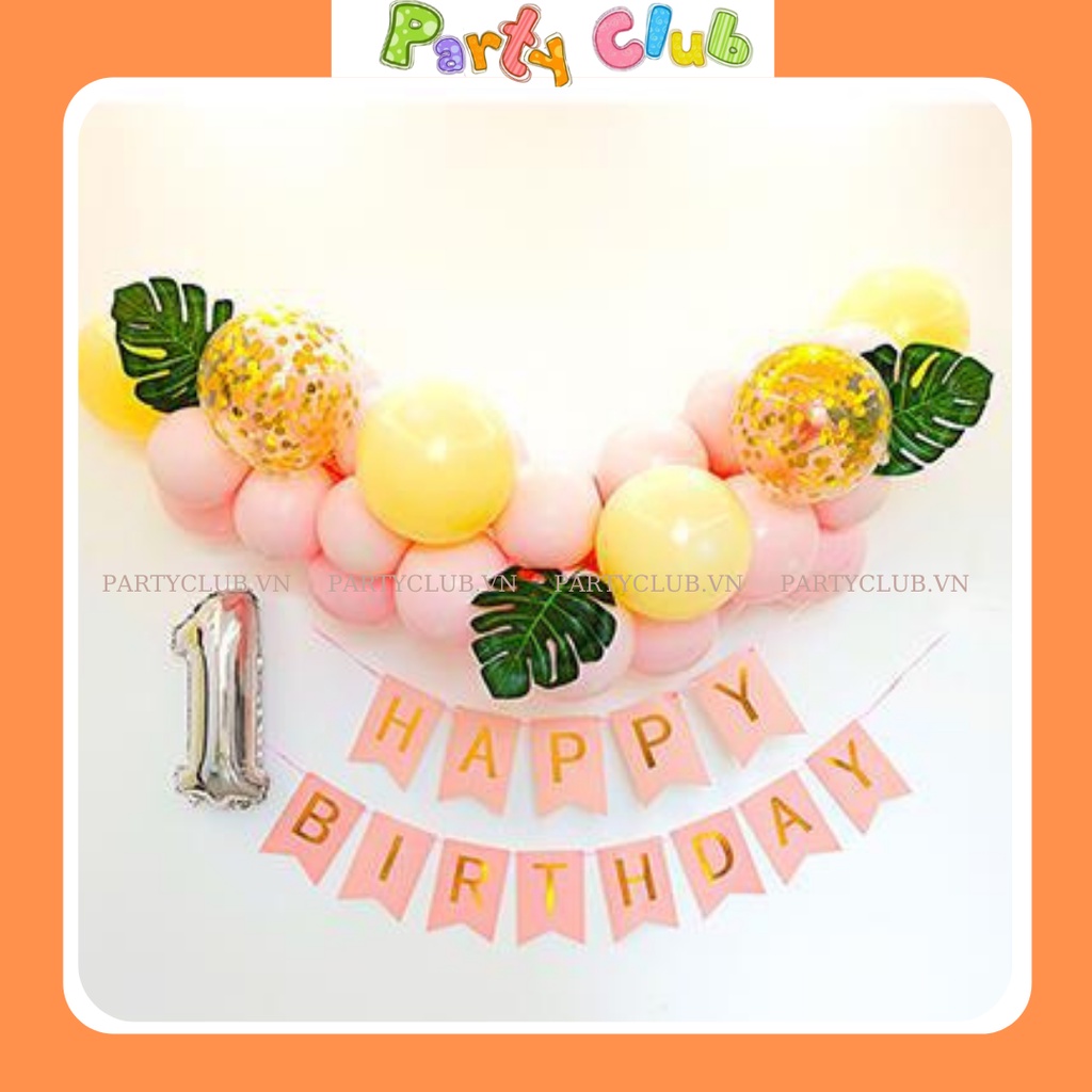 Set bóng trang trí sinh nhật cho bé tại nhà mẫu DG-001