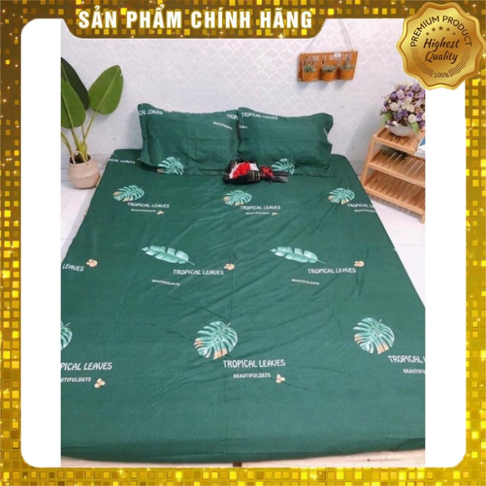 Bộ Ga Chun Trải Giường 3 món( 2 gối đầu+ 1 ga chun) chất liệu cotton poly không bai không xù | BigBuy360 - bigbuy360.vn