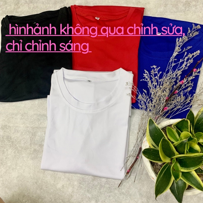 Áo Thun Trơn vải mè, sản xuất tại Việt Nam co giãn thấm hút tốt