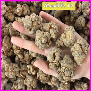 100G Củ tam Thất bắc khô loại 5-7-9-12củ ♥Loại A♥ Tam thất rừng Sapa
