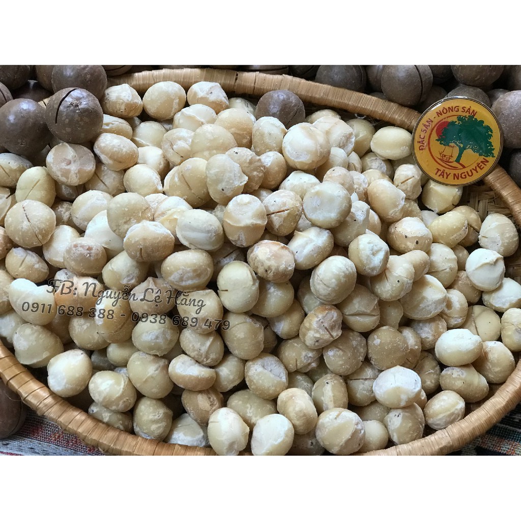 Macca Maccadamia Kernel (nguyên vỏ)