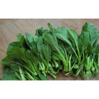 Hạt giống rau cải ngồng xanh 20gr