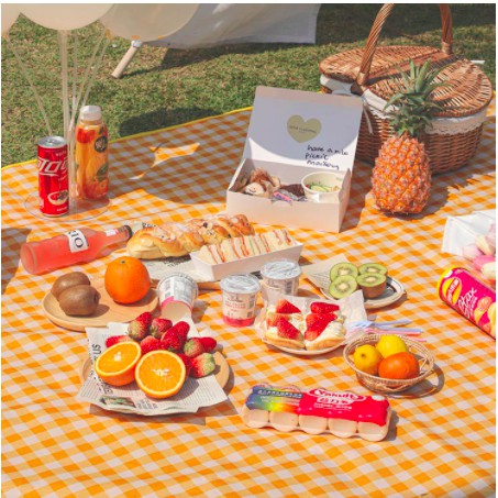 Chuyên Sỉ  Thảm Du Lịch, picnic cắm trại gấp gọn tiện lợi, nhẹ nhàng - bạt trải đi phượt, chống nước