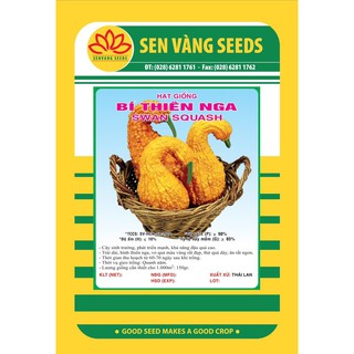 Gói 5 hạt hạt giống bí thiên nga