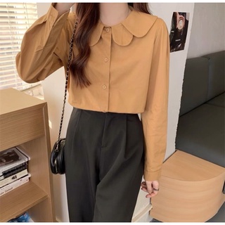 SƠ MI CỔ BÈO TAY DÀI BIGSIZE ( BÈO BÉO BIGSIZE)