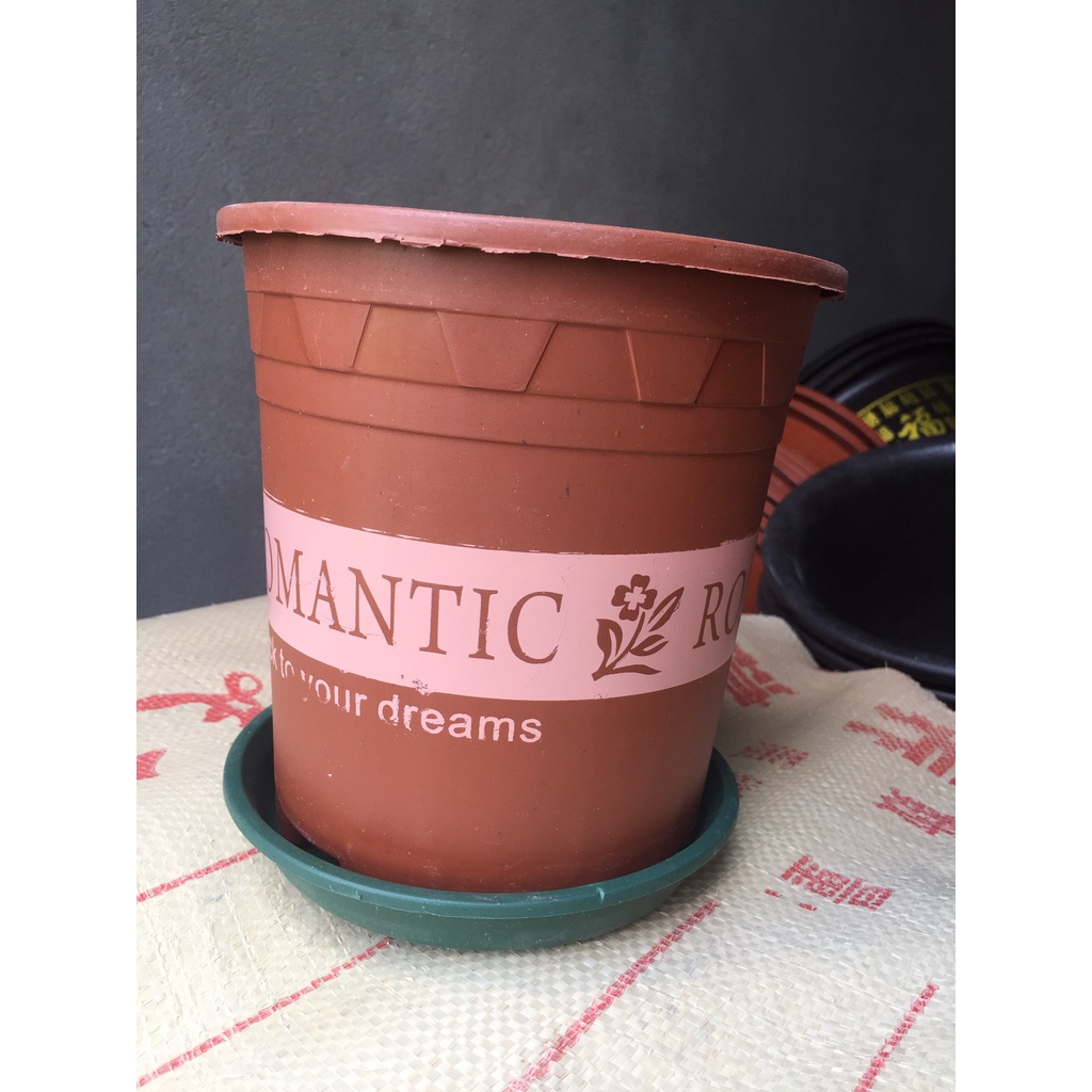 5 CHẬU NHỰA ROMANTIC #1 (BẦU KHAY TÚI ƯƠM, KEO LIỀN SẸO CÂY, KÍCH RỄ MẦM CÂY...)