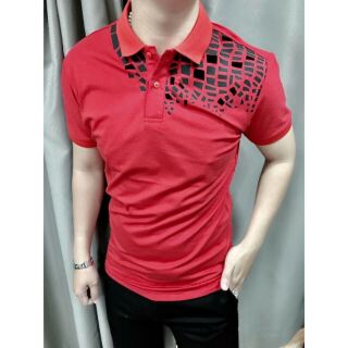 Áo thun nam cực đẹp