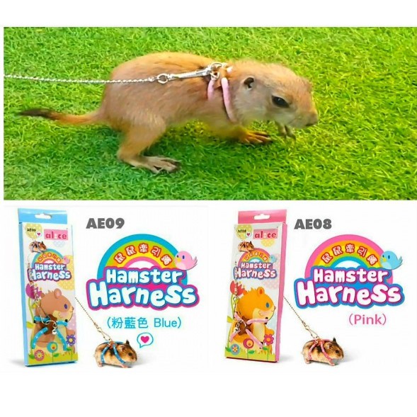 [Mã PETHOT giảm 8% đơn 199K] Dây dắt hamster - sóc, bọ ú