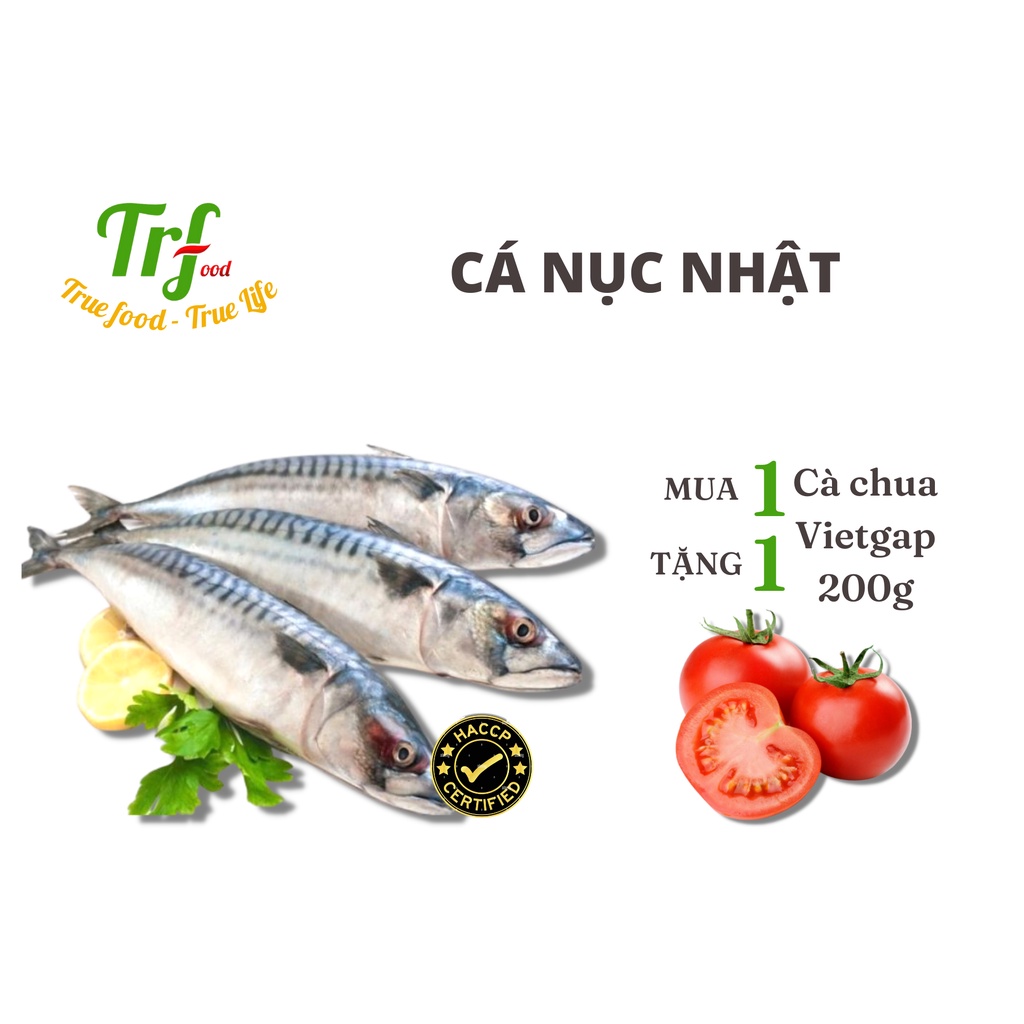 Cá nục Nhật cá thu đao nhập khẩu Truefood 400-450g [HN ship hỏa tốc]
